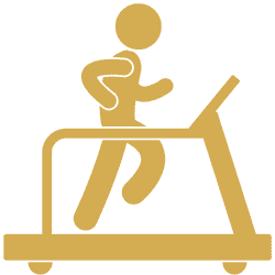 Gymnasium